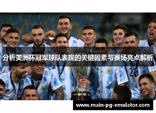 分析美洲杯冠军球队表现的关键因素与赛场亮点解析