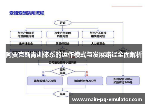 阿贾克斯青训体系的运作模式与发展路径全面解析