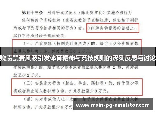 魏震禁赛风波引发体育精神与竞技规则的深刻反思与讨论